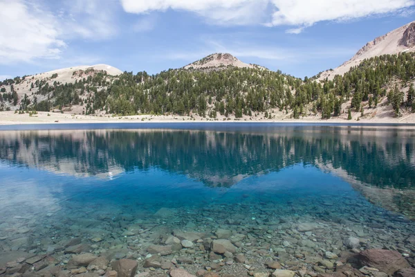 Raja Ampat yüzey altında kırılgan mercan