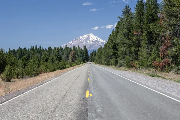 Estrada que corre através da floresta de Oregon — Fotografia de Stock