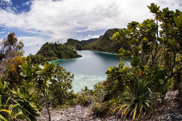 Лиместонские острова и Лагуна — стоковое фото