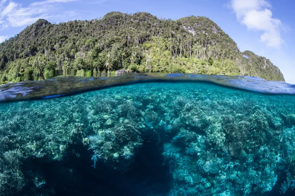 Recife tropical e ilha em Raja Ampat — Fotografia de Stock