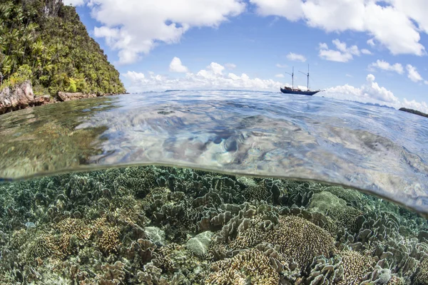 Shallow Coral Reef and Ship on Horizon — Stock Photo, Image