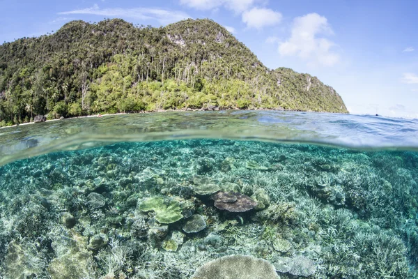 Reef and Tropical Island — Stock Photo, Image