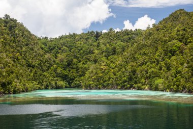 Tropik Ada ve Saçak Resifi