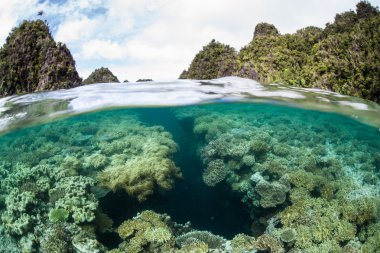 Mercan ve Misool, Raja Ampat kireçtaşı Adaları