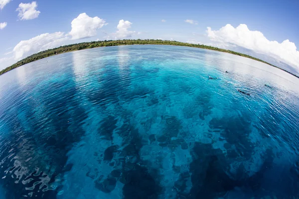 Tiszta víz, Wakatobi, Indonézia — Stock Fotó