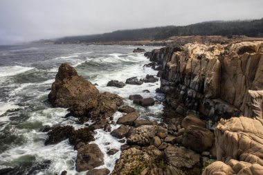 Doğal Kuzey Kaliforniya Sahili