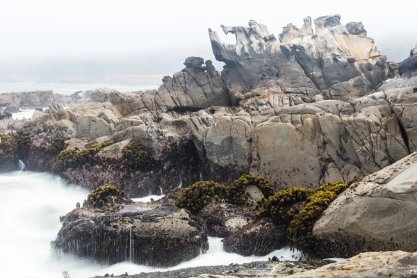 Скелястому узбережжі Північної Каліфорнії — стокове фото