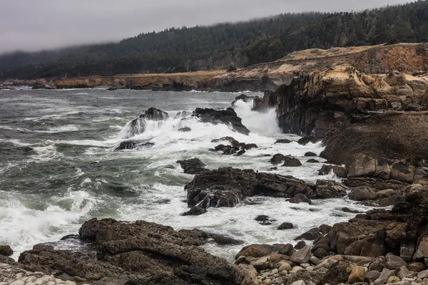 Rivage rocheux du nord de la Californie — Photo