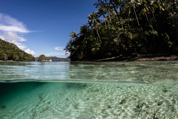 Ilha Tropical do Pacífico e água limpa — Fotografia de Stock