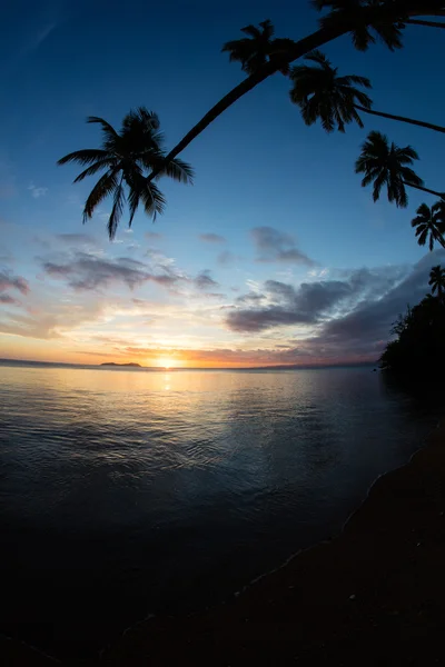 Splendido scenario tropicale — Foto Stock