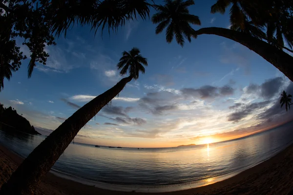 Tramonto e palme sagomate sull'isola tropicale — Foto Stock