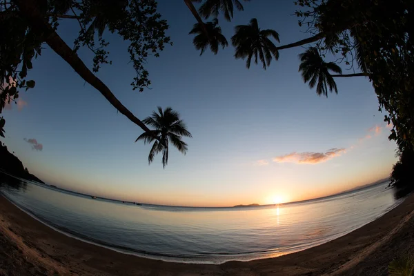 Sole al tramonto, palme e spiaggia — Foto Stock