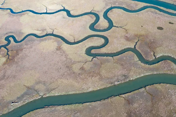 狭窄的海峡蜿蜒穿过加利福尼亚州中部一个美丽的河口 当淡水径流与来自海洋的盐水相遇和混合时 就形成了河口 许多野生动物都依赖河口 — 图库照片