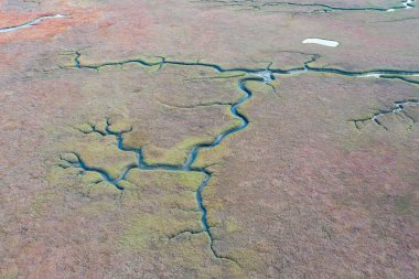 Orta Kaliforniya 'daki güzel haliçler boyunca dar kanallar daha dolambaçlı. Tatlı su akıntısı okyanustan gelen tuzlu suyla karıştığında gözenekler oluşur. Vahşi yaşamın çoğu haliçlere dayanır..