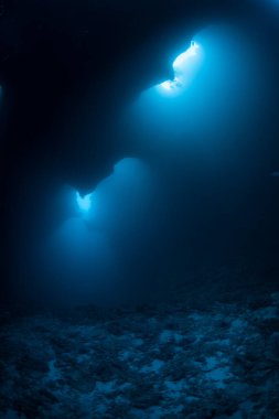 Işık Palau Cumhuriyeti 'ndeki karanlık, sualtı mağarasına sızar. Bu ünlü dalış alanı 