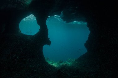 Endonezya 'nın Raja Ampat kentindeki bir kireçtaşı adasında delikler aşınmış. Bu uzak, tropikal bölge olağanüstü deniz biyolojik çeşitliliği nedeniyle Mercan Üçgeni 'nin kalbi olarak bilinir..