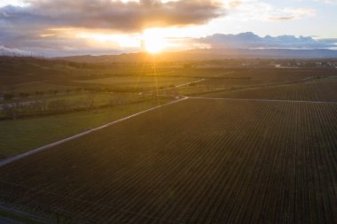 Günbatımı Livermore, Kaliforniya 'da geniş üzüm bağlarını aydınlatıyor. Körfez Bölgesi 'nin bu güzel kısmı şarap ve bira fabrikalarıyla ünlüdür..