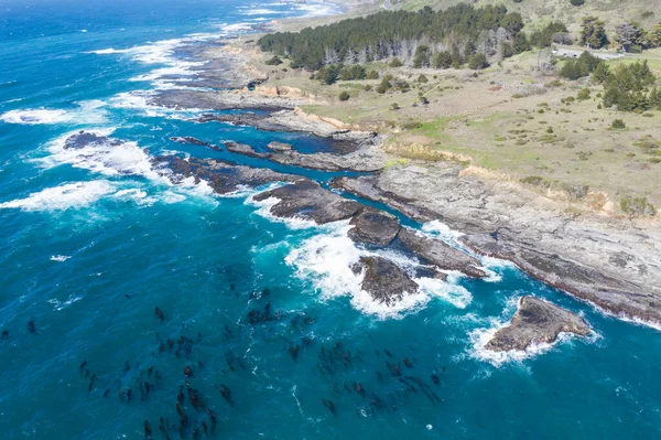 Stille Oceaan Ontmoet Ruige Rotsachtige Kust Van Noord Californië Mendocino — Stockfoto