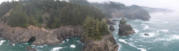 Der Malerischen Küste Des Südlichen Oregon Treffen Wald Und Pazifik — Stockfoto