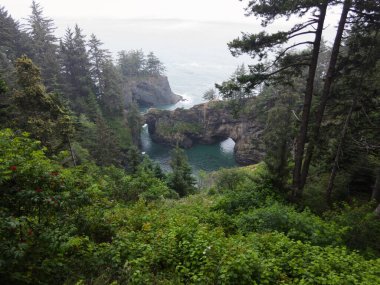 Forest meets the Pacific Ocean along the scenic coastline of southern Oregon. This rugged and rocky part of the Pacific Northwest is found along the Samuel H. Boardman State Scenic Corridor. clipart