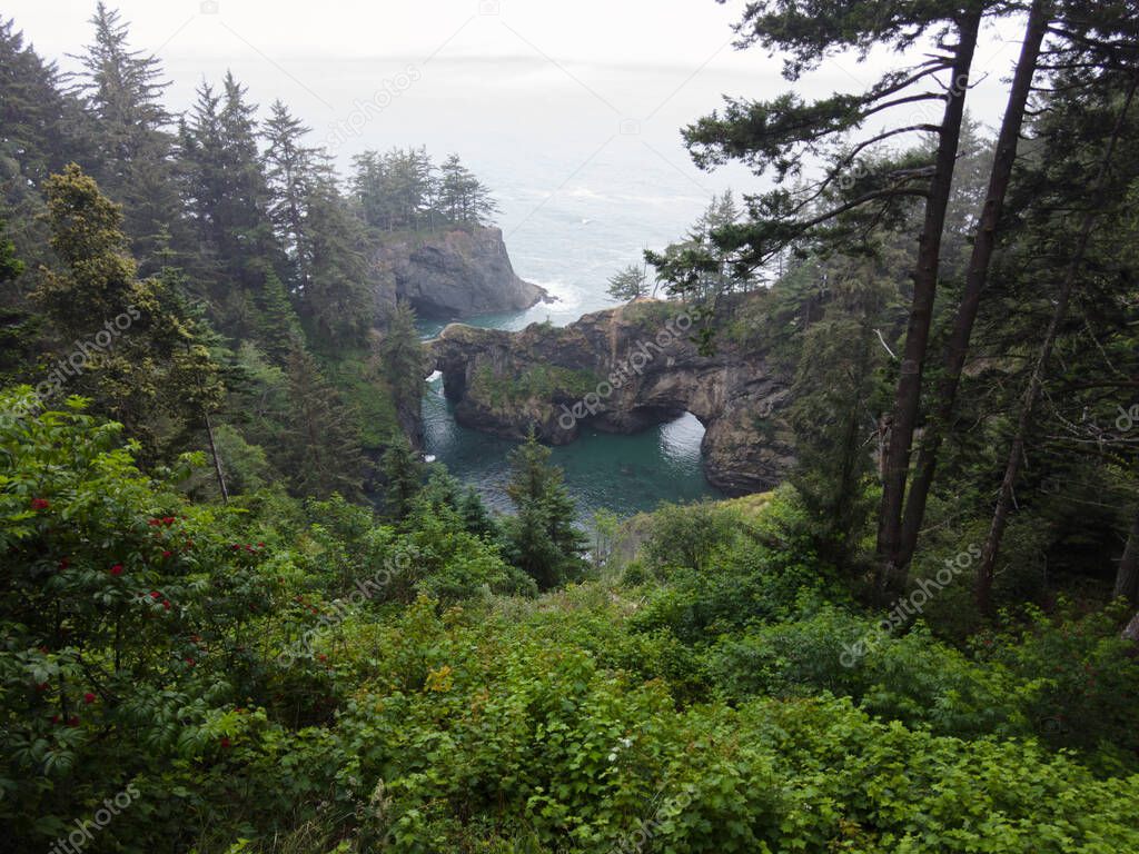 Forest meets the Pacific Ocean along the scenic coastline of southern Oregon. This rugged and rocky part of the Pacific Northwest is found along the Samuel H. Boardman State Scenic Corridor.