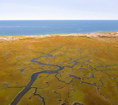 Pleasant Bay, Cape Cod, Massachusetts 'teki tuzlu bir bataklıktan geçen sığ kanallar. Bu tür sulak arazi habitatları göç eden kuşlar, balıklar ve birçok deniz omurgasızı için hayati bir beslenme alanıdır..