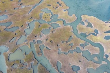 Narrow channels meander through a salt marsh in Pleasant Bay, Cape Cod, Massachusetts. This type of wetland habitat is vital feeding grounds for migrating birds, fish, and many marine invertebrates. clipart