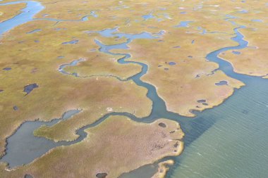 Pleasant Bay, Cape Cod, Massachusetts 'teki tuzlu bataklıkta dar kanallar var. Bu tür sulak arazi habitatları göç eden kuşlar, balıklar ve birçok deniz omurgasızı için hayati bir beslenme alanıdır..