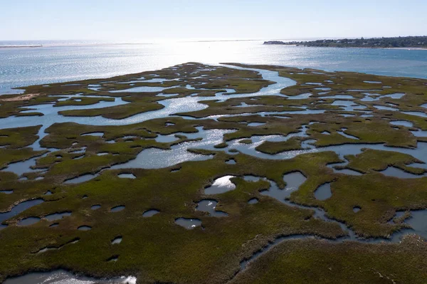 Narrow Channels Meander Salt Marsh Pleasant Bay Cape Cod Massachusetts — Stock Photo, Image