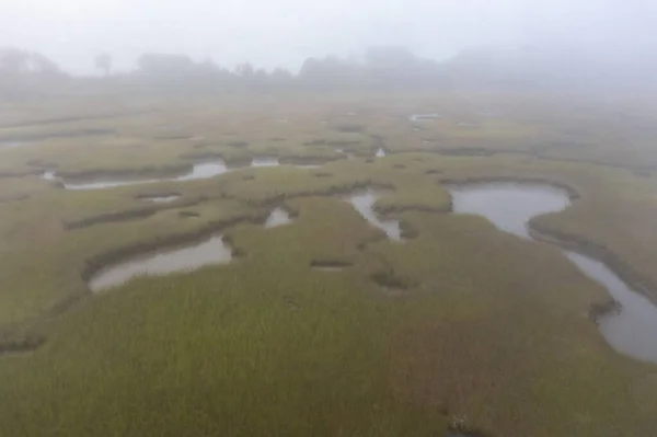 Fog drifts over an extensive salt marsh in Pleasant Bay, Cape Cod, Massachusetts. This type of wetland habitat is vital feeding grounds for migrating birds, fish, and many marine invertebrates.