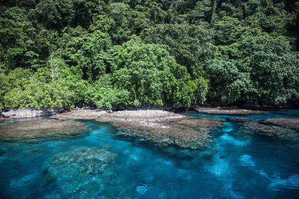 Skog, Reef och vatten — Stockfoto