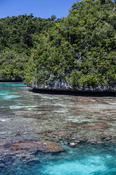 Limestone Island och Fringing revet — Stockfoto