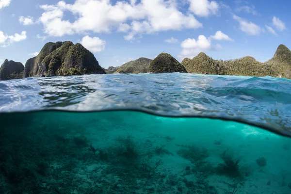 Coral colonies in part of the Solomon Islands — Stock Photo, Image