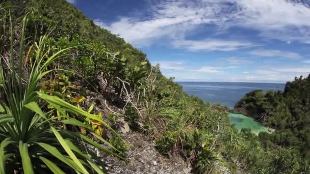 Baai omringd door kalksteen island — Stockvideo