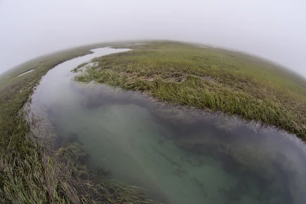 Kanał wiatry przez salt marsh w zatoce — Zdjęcie stockowe