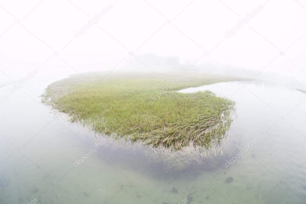 Fog covers a salt marsh in a shallow bay