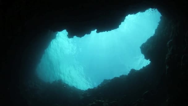 Buraco azul no recife de barreira — Vídeo de Stock
