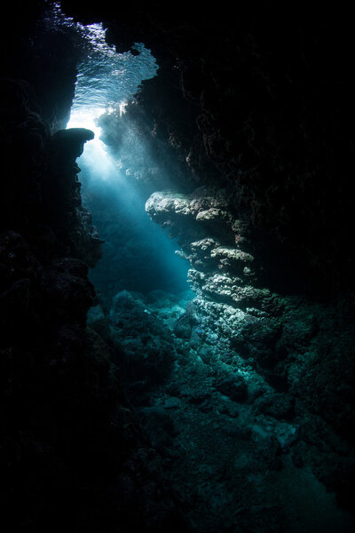 Beams of sunlight pass into the depths of coral reef