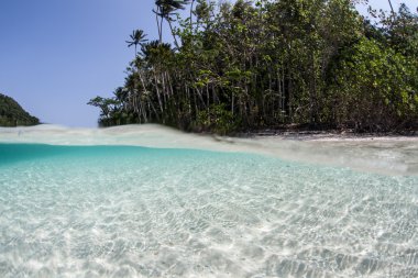 White sand flat in Raja Ampat
