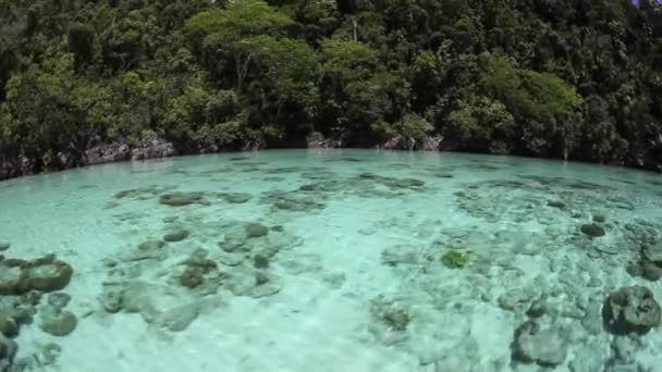 Laguna poco profunda e isla de piedra caliza en Raja Ampat — Vídeo de stock