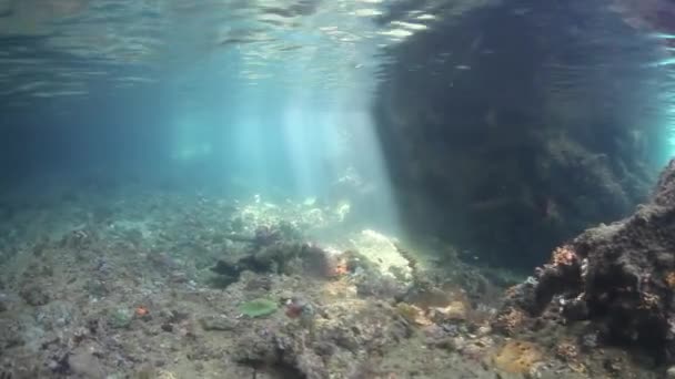 Beams of Sunlight in Shallow Channel in Raja Ampat — Stock Video