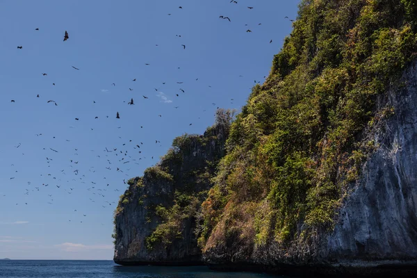 Fruit Bats Flying Near Limestone Island in Raja Ampat