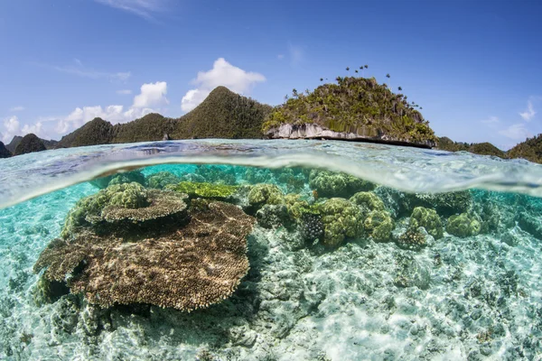 Korallrev och kalksten öar i Raja Ampat — Stockfoto