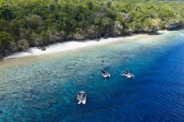 Snorkeller, Alor, Endonezya 'nın yaklaşık 160 km doğusunda bulunan Pulau Reong etrafındaki resifi keşfetmeye hazırlanıyorlar. Bu bölge çeşitli mercan resifleri ve muhteşem dalgıçlığı ve şnorkelle dalmasıyla bilinir..