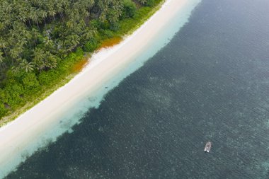 Endonezya 'nın Banda Denizi' ndeki uzak tropikal bir adanın deniz kıyılarında küçük bir tekne sürükleniyor. Bu bölge ve küçük adaları muhteşem deniz biyolojik çeşitliliğine ev sahipliği yapar..