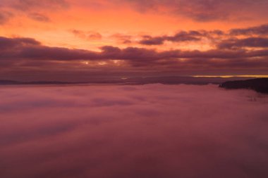 Huzurlu bir şafak, Portland, Oregon yakınlarındaki sisli, ormanlı, Pasifik Kuzeybatı manzarasını aydınlatır. Sis ve sis, nemli havanın çiğ noktasına kadar soğuyarak su buharının yoğunlaşmasına neden olur..