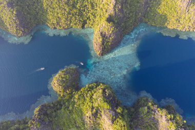 Eski, yükselmiş resiflerden oluşan güzel kaya adaları Misool, Endonezya 'daki deniz manzarasından yükseliyor. Bu bölge olağanüstü deniz biyolojik çeşitliliğine ev sahipliği yapar ve dalgıçlar ve şnorkelliler için popüler bir yerdir..