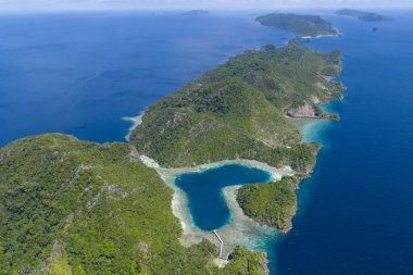 Eski ve yüksek resiflerden oluşan kaya adaları Misool, Endonezya 'da kalp şeklinde bir lagünün etrafını sarar. Bu bölge olağanüstü deniz biyolojik çeşitliliğine ev sahipliği yapar ve dalgıçlar ve şnorkelliler için popüler bir yerdir..