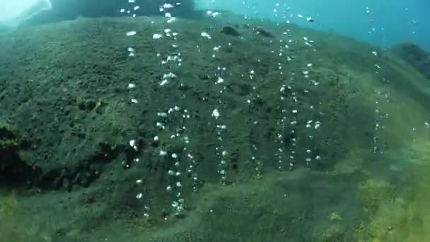 Blasen, die vom aktiven vulkanischen Meeresboden in der Nähe von Komodo aufsteigen — Stockvideo