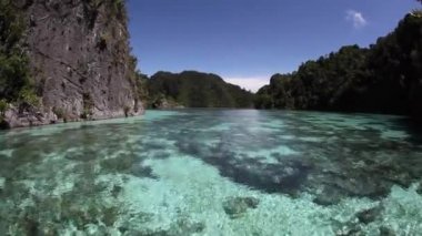 Kireçtaşı Adaları ve mercan kayalığı tropikal Pasifik